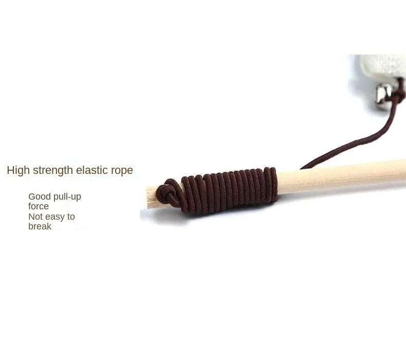 Interactive Feather Cat Wand Toy